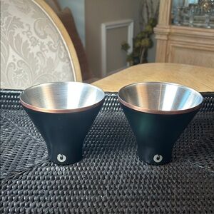 SNOWFOX Insulated Stainless Steel Martini Glass (2)